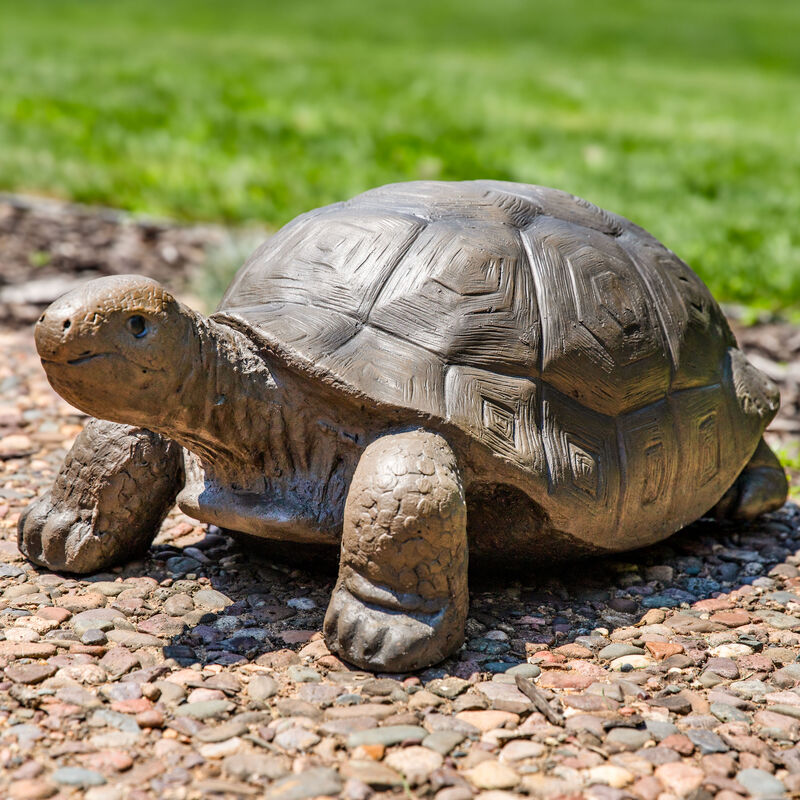 Sunnydaze Talia the Tortoise Indoor/Outdoor Garden Statue - 12 in