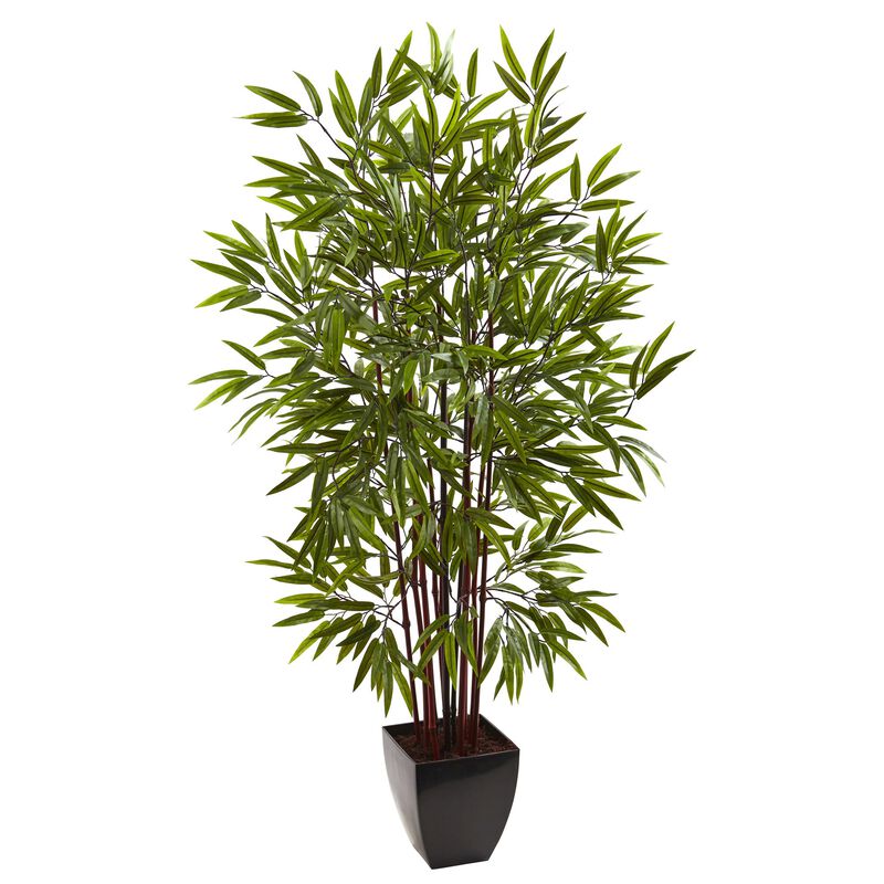 HomPlanti 5 Feet Bamboo Silk Tree w/Planter