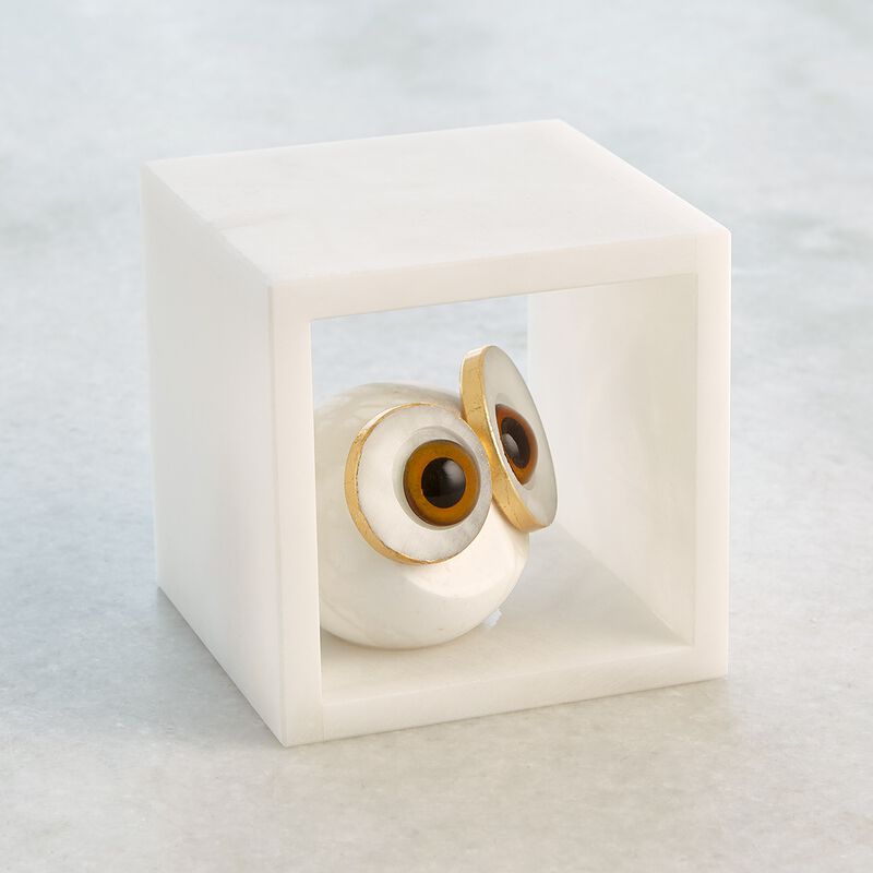 Alabaster Big Eyed Owl in Cube