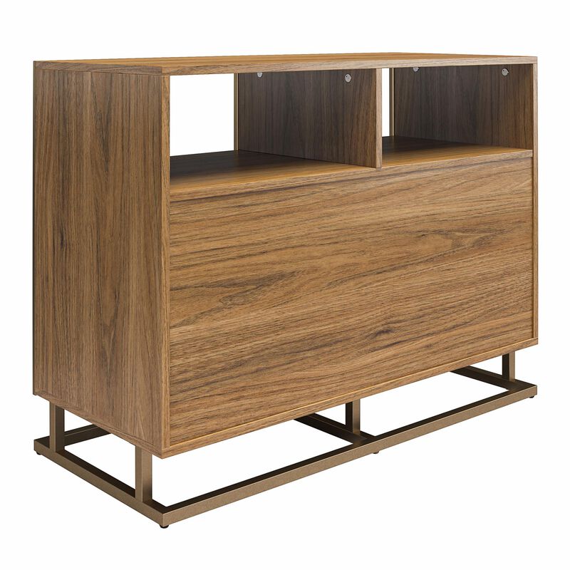 Regal Double Wide Record Station/Accent Cabinet