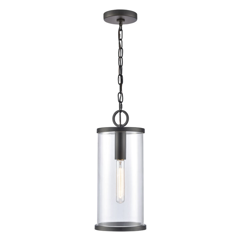 Hopkins Hanging Outdoor Light