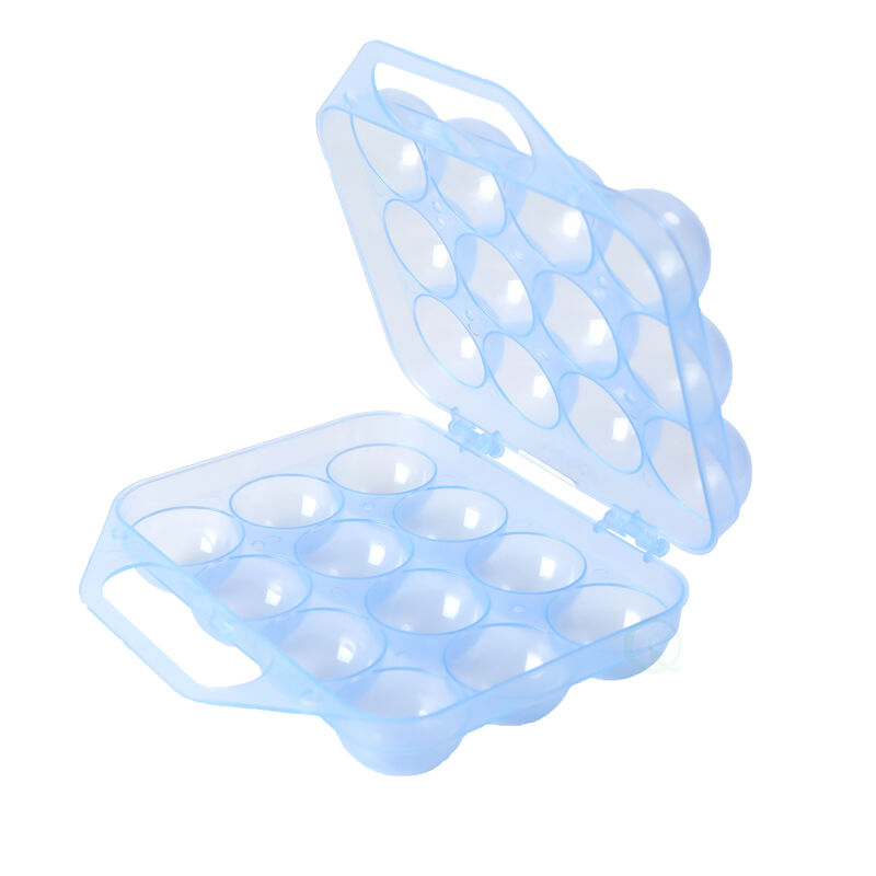 Clear Plastic Egg Carton, 12 Egg Holder Carrying Case with Handle, Set of 2