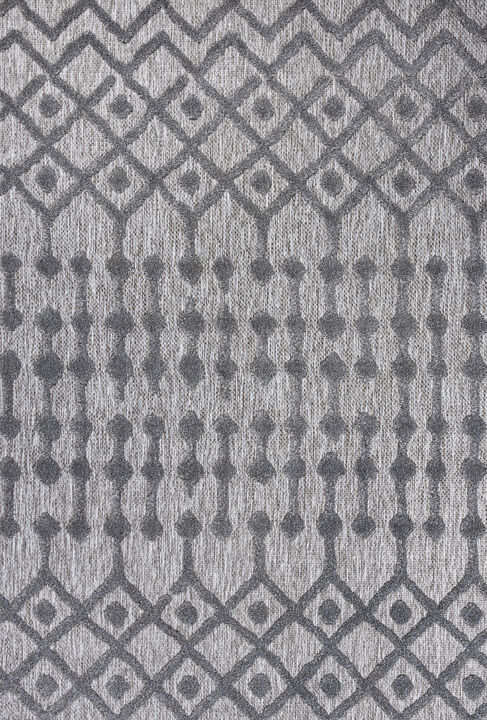 Peralta Moroccan Diamond Indoor/Outdoor Area Rug