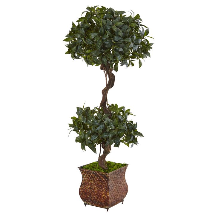 HomPlanti 4.5 Feet Sweet Bay Double Topiary Tree in Metal Planter