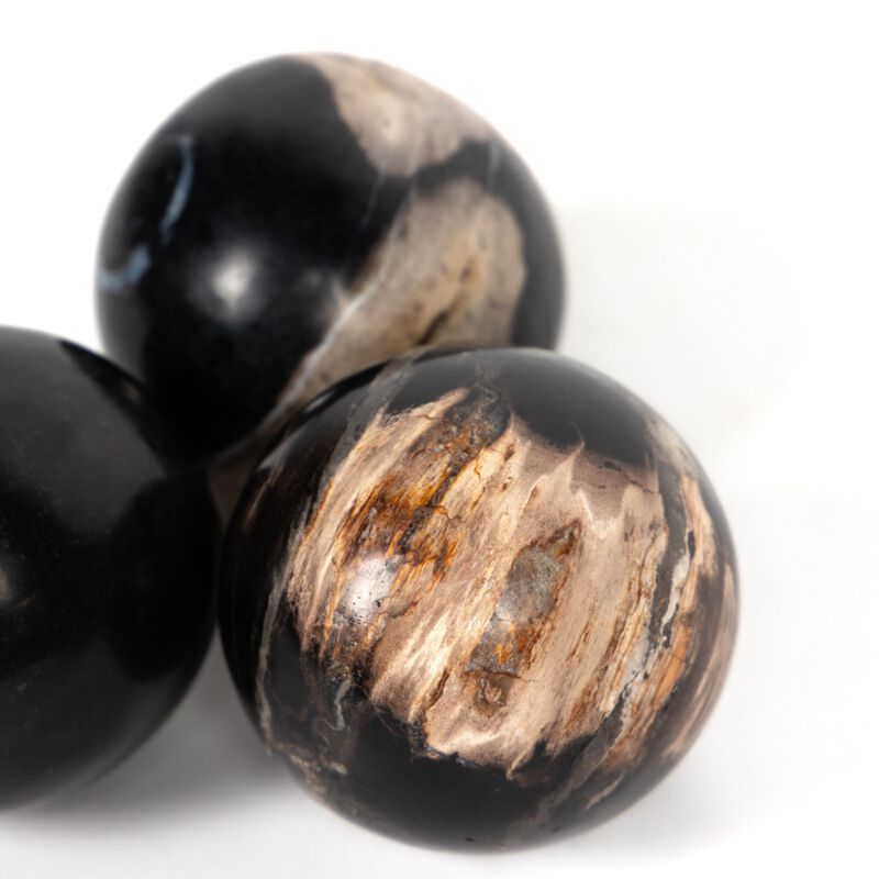 Petrified Wood Balls (Set Of 3)