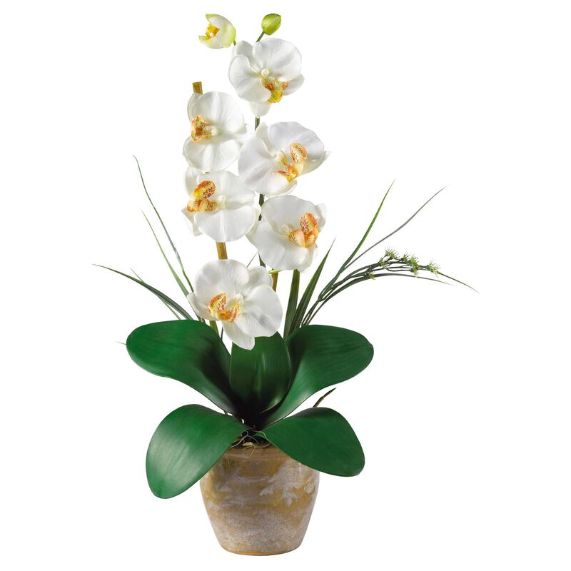 Nearly Natural Single Stem Phalaenopsis Cream