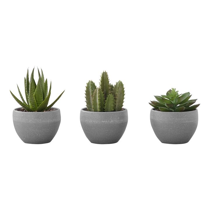 Monarch Specialties I 9587 - Artificial Plant, 6" Tall, Succulent, Indoor, Faux, Fake, Table, Greenery, Potted, Set Of 3, Decorative, Green Plants, Grey Cement Pots