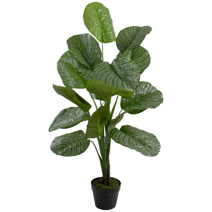 4' Potted Two Tone Green Calathea Artificial Floor Plant