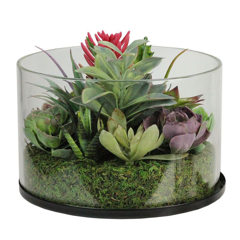 8" Artificial Mixed Succulent Arrangement in Round Glass Jar