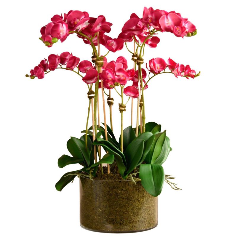 Large Artificial Orchid Arrangement In Glass Vase - 33”