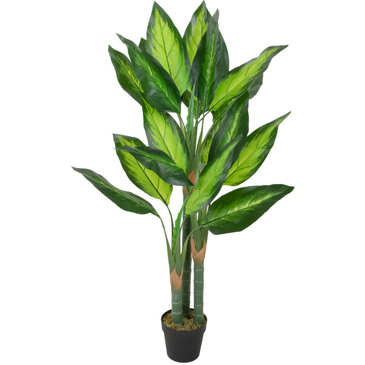 51" Artificial Wide Leaf Green Dieffenbachia Potted Plant