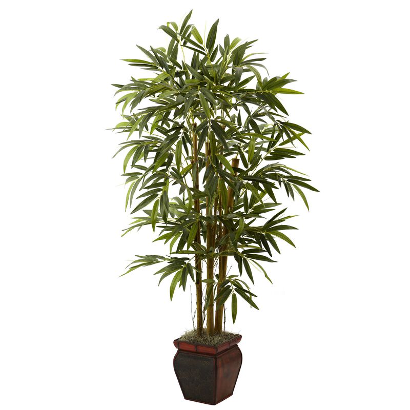 HomPlanti 5.5 Feet Bamboo w/Decorative Planter