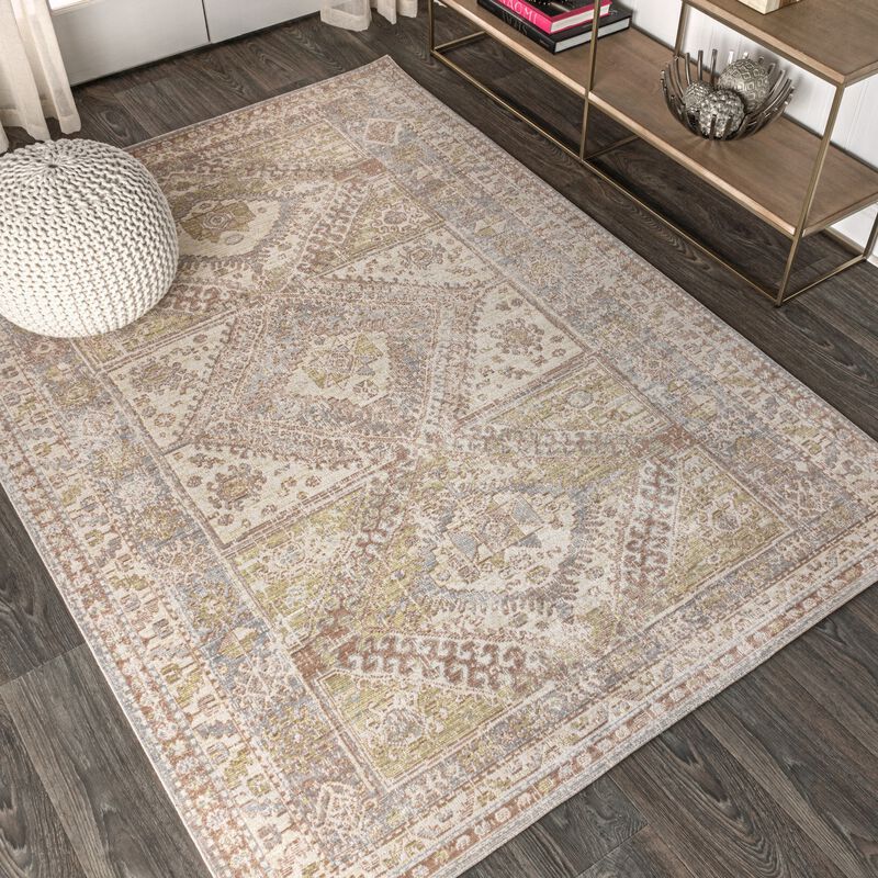 Darija Ornate Geometric Medallion Area Rug