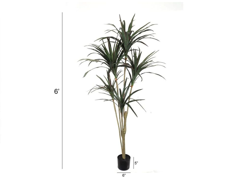 Silk Dracena Marginata , 5' w 118 Natural Looking Silk Leaves , Black Pot, Realistic Trunk, Silk House Plant for Home / Commercial