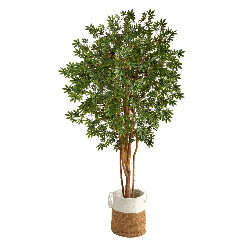 HomPlanti 6 Feet Japanese Maple Artificial Tree in Handmade Natural Jute and Cotton Planter