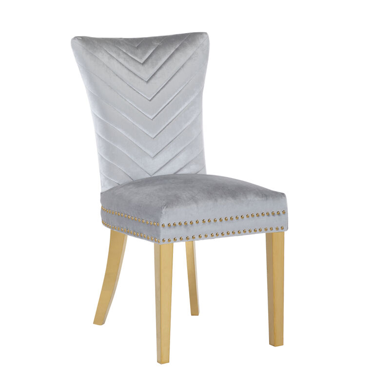 Eva 2 Piece Dining Chairs Finished with Velvet Fabric