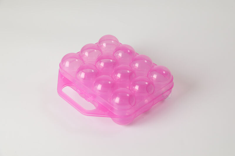 Clear Plastic Egg Carton, 12 Egg Holder Carrying Case with Handle, Set of 2