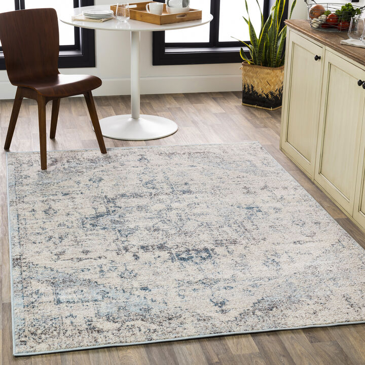 Ankara AKR-2310 6'7' x 9' White Rug