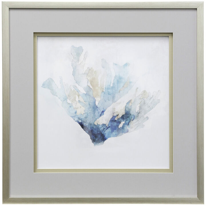Blue Coral Reef II Framed Print