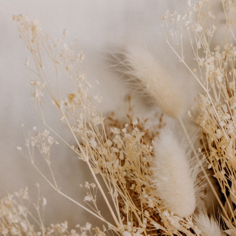 Dried Floral Dyptich