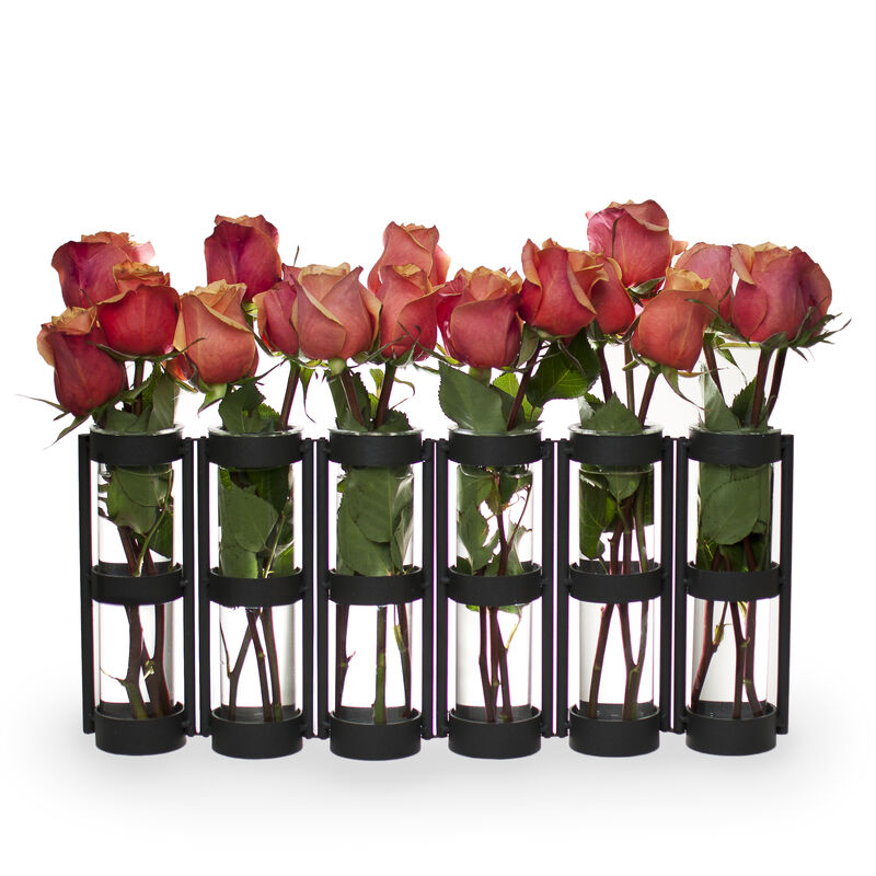 Six Wide Tube Hinged Vases