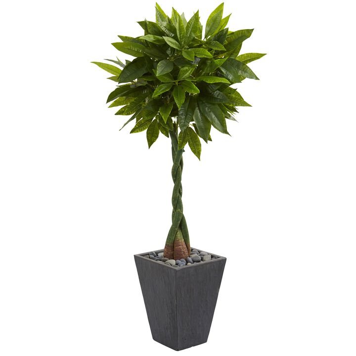 HomPlanti 5 Feet Money Artificial Tree in Slate Planter (Real Touch)