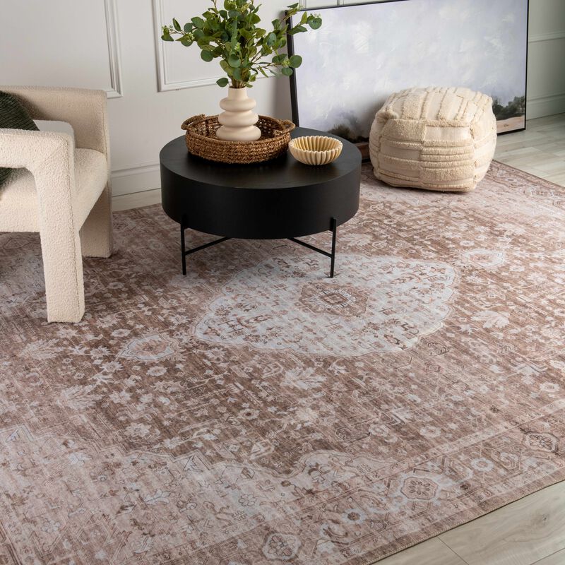 Emir Water-Repellent Transitional Persian Indoor Area Rug