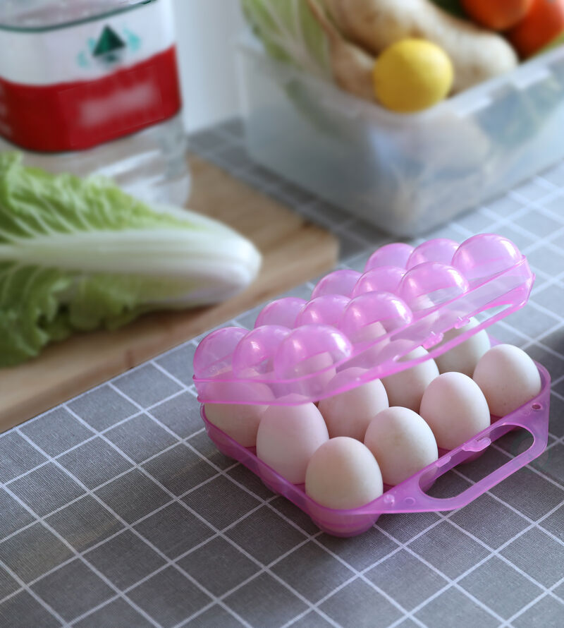 Clear Plastic Egg Carton, 12 Egg Holder Carrying Case with Handle, Set of 2