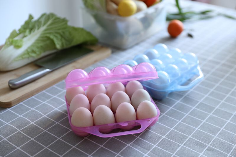 Clear Plastic Egg Carton, 12 Egg Holder Carrying Case with Handle, Set of 2