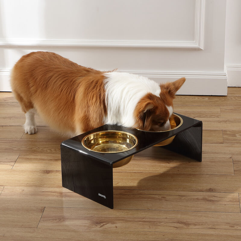 Keaton Medium/Large Modern Lucite Rectangular Elevated Pet Feeder with 54oz 2-Stainless Steel Bowls