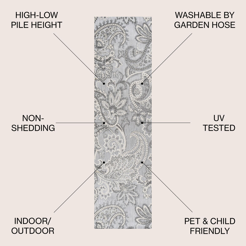 Gordes Paisley High-Low Indoor/Outdoor Area Rug