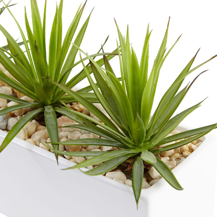 HomPlanti Mini Agave in Rectangular Ceramic