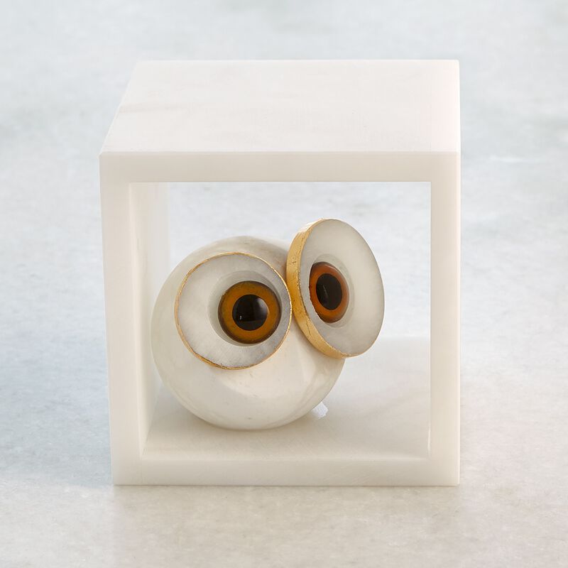 Alabaster Big Eyed Owl in Cube