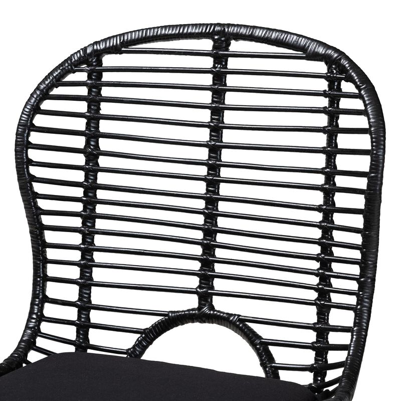 bali & pari Brenna Modern Bohemian Black Finished Rattan and Metal 2-Piece Dining Chair Set