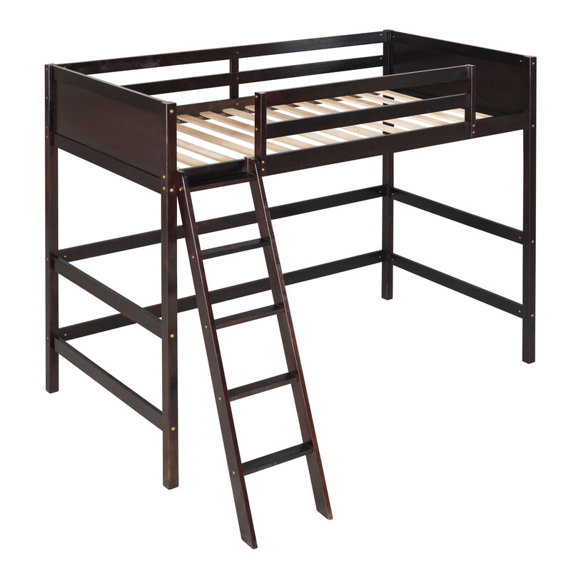 Solid Wood Twin Size Loft Bed with Ladder