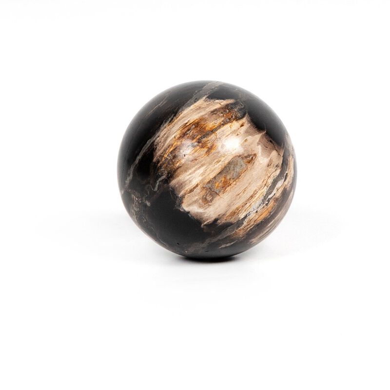 Petrified Wood Balls (Set Of 3)