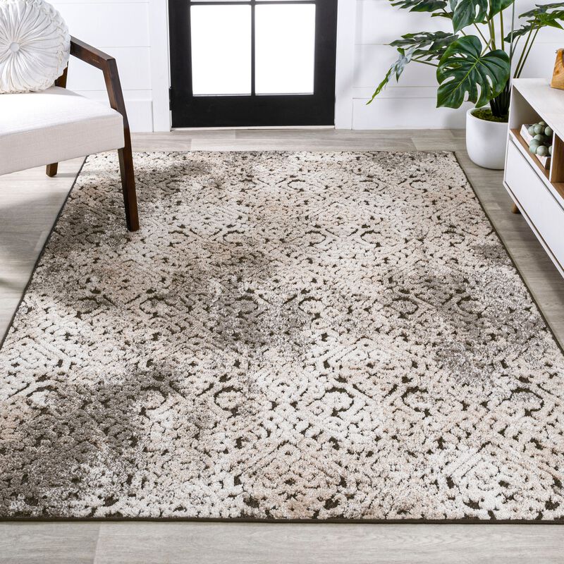 Duenas High-Low Shabby Damask Area Rug