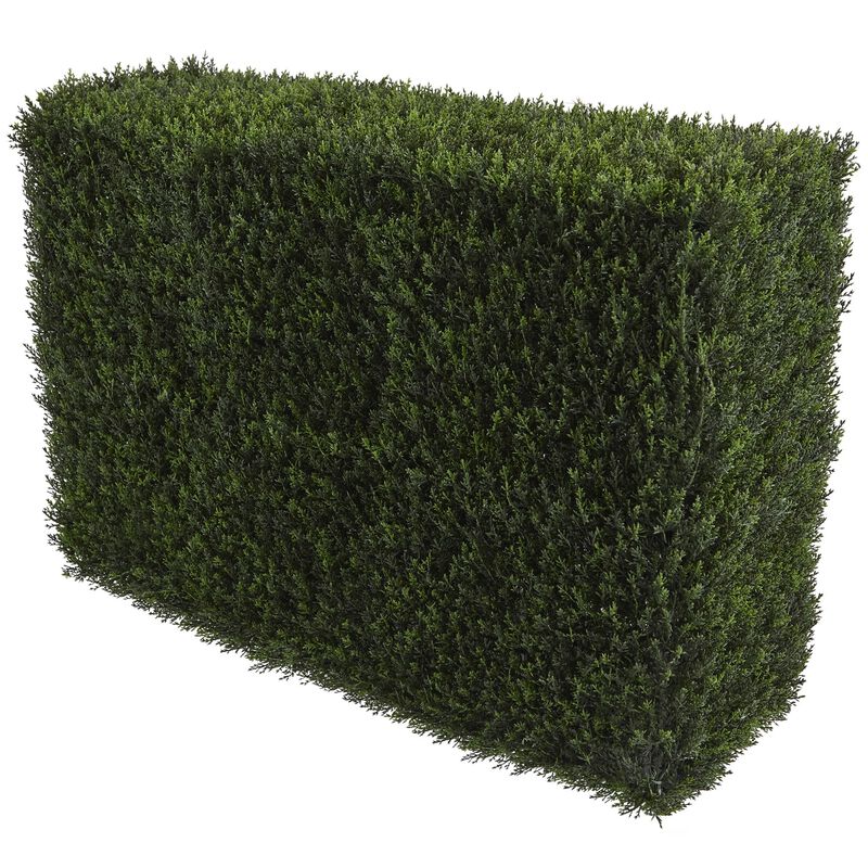 HomPlanti Artificial Decorative Cedar Hedge  (Indoor/Outdoor)