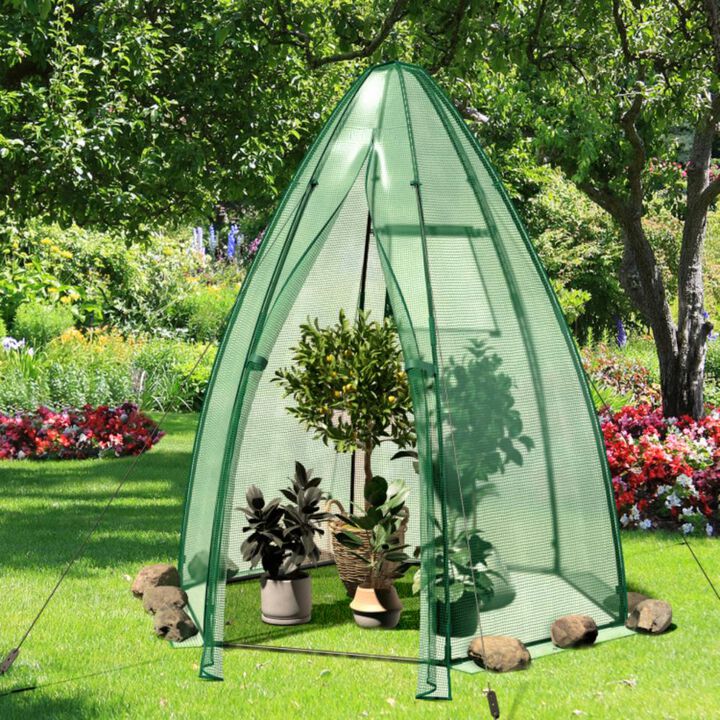 Hivvago 5.5 x 5.5 x 6 Feet Portable Mini Greenhouse with All-Weather PE Cover