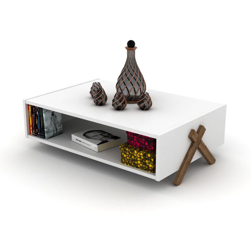 Kipp Coffee Table with Interior Shelving