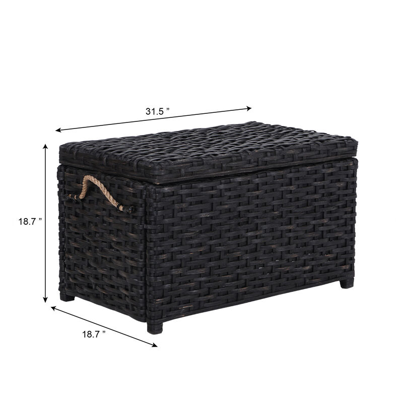 Jacob Wicker Storage Trunk