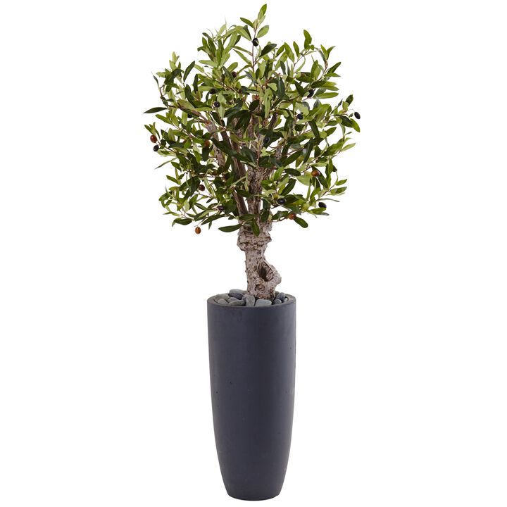 HomPlanti 3.5 Feet Olive Tree in Gray Cylinder Planter