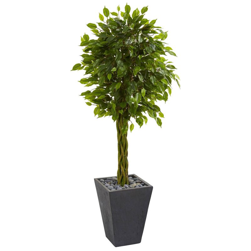 Nearly Natural 5-ft Braided Ficus Tree in Planter UV Resist(Indoor/Outdoor)