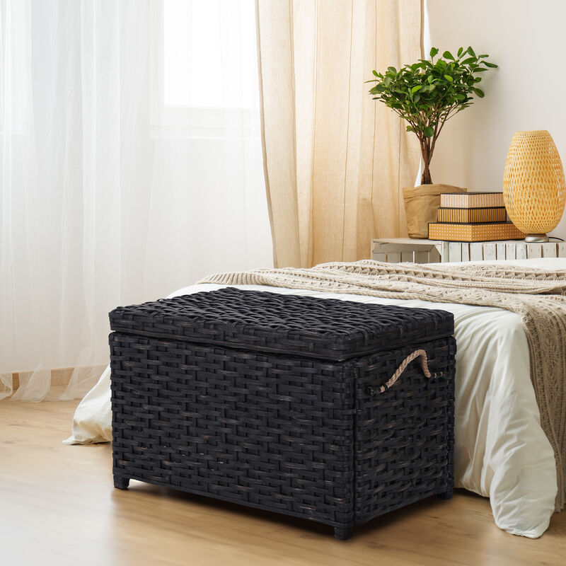 Jacob Wicker Storage Trunk