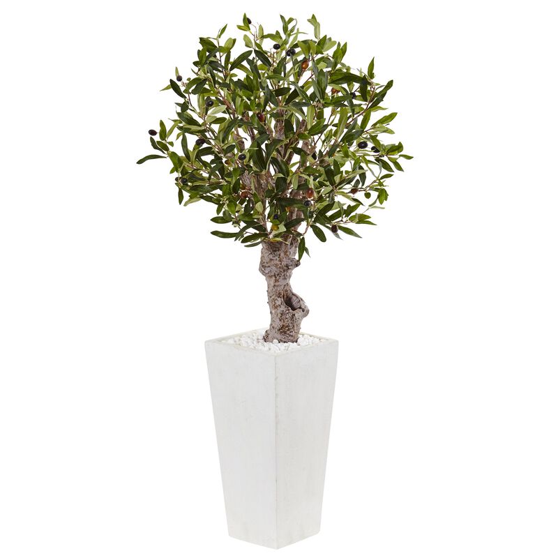 HomPlanti 3.5 Feet Olive Tree in White Tower Planter