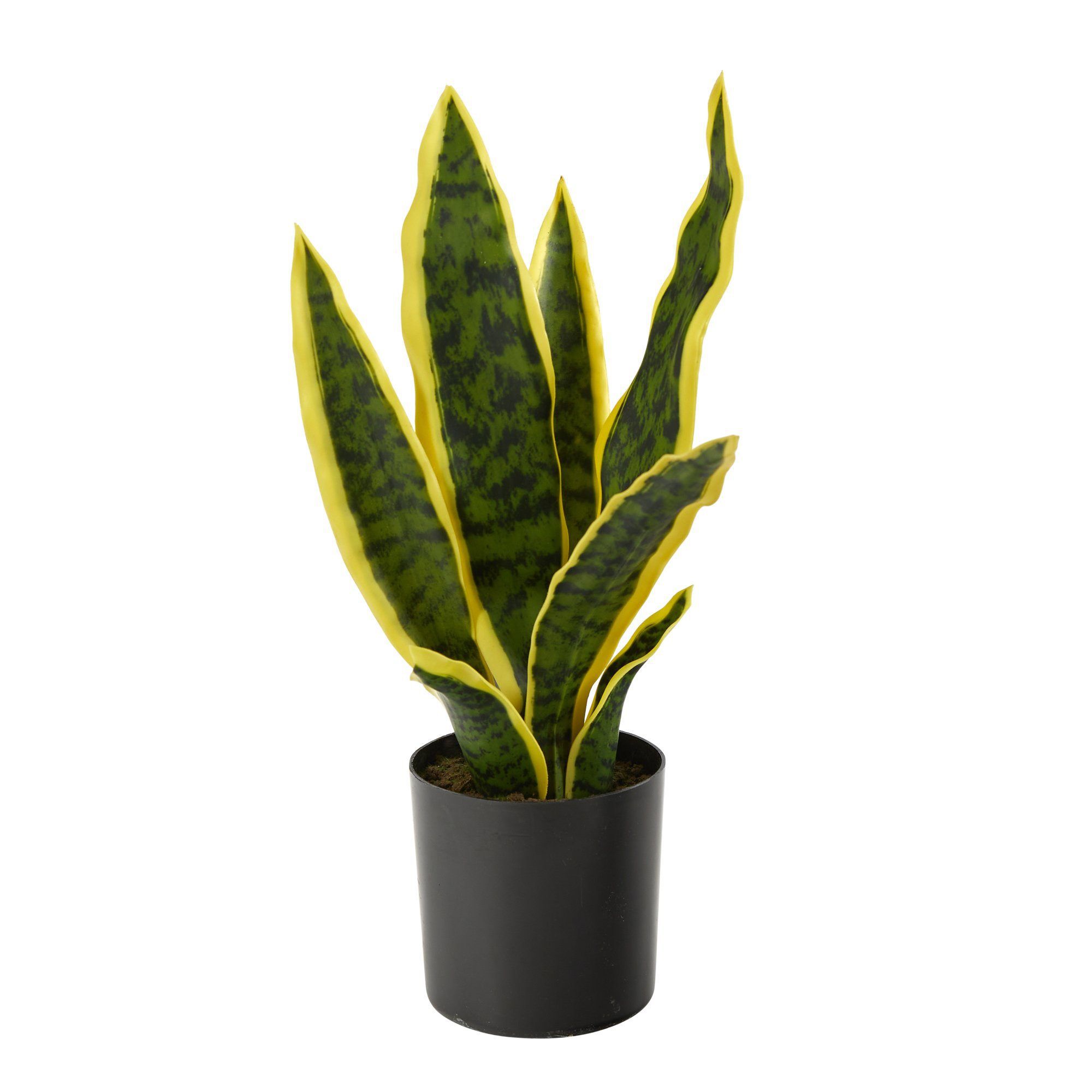 Nearly Natural -in Sansevieria Artificial Plant | The Market Place