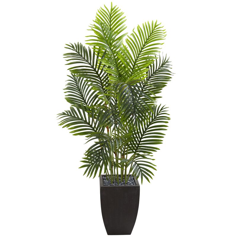 HomPlanti 5.5 Feet Paradise Palm Artificial Tree in Square Planter
