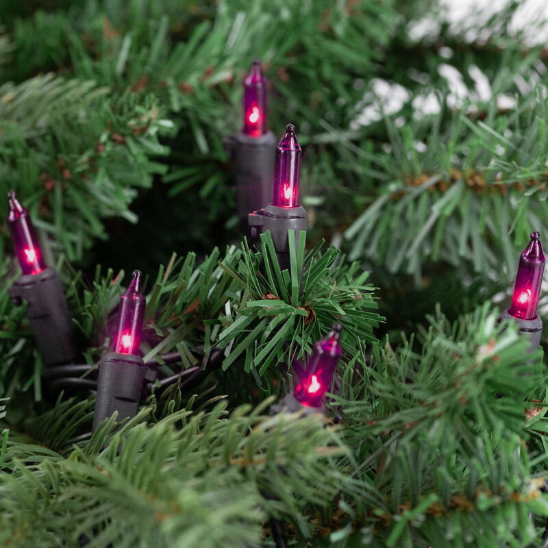 50-Count Purple Mini Christmas Light Set  10ft Black Wire