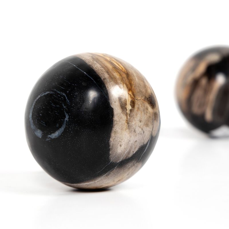 Petrified Wood Balls (Set Of 3)